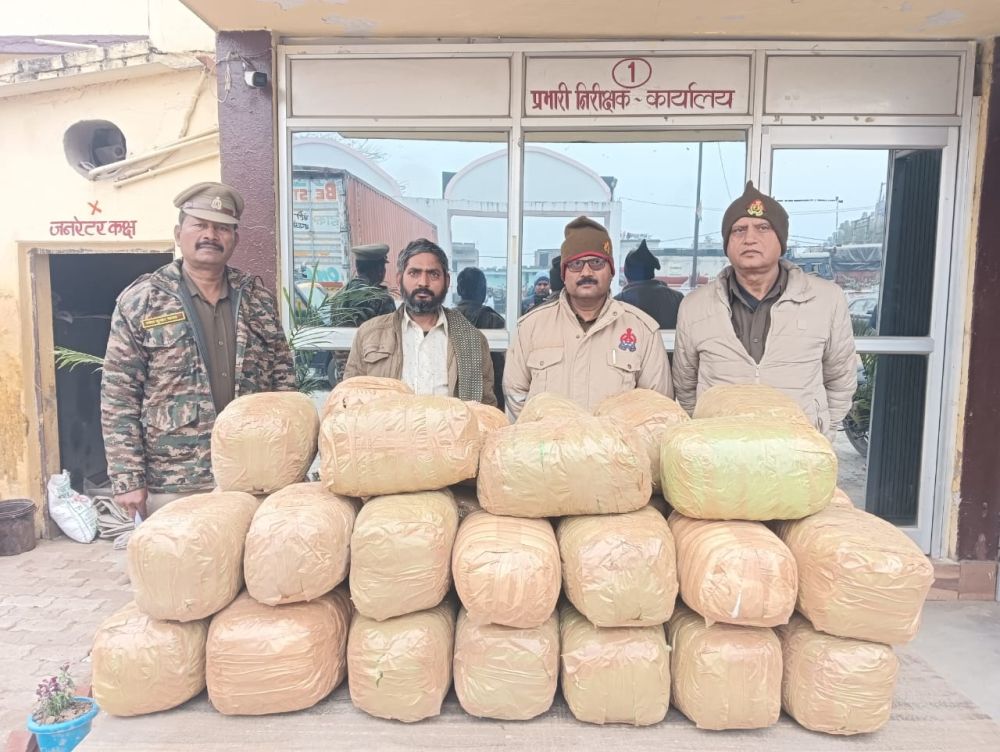 अलीनगर पुलिस ने 79.5 किलो गांजा जब्त किया